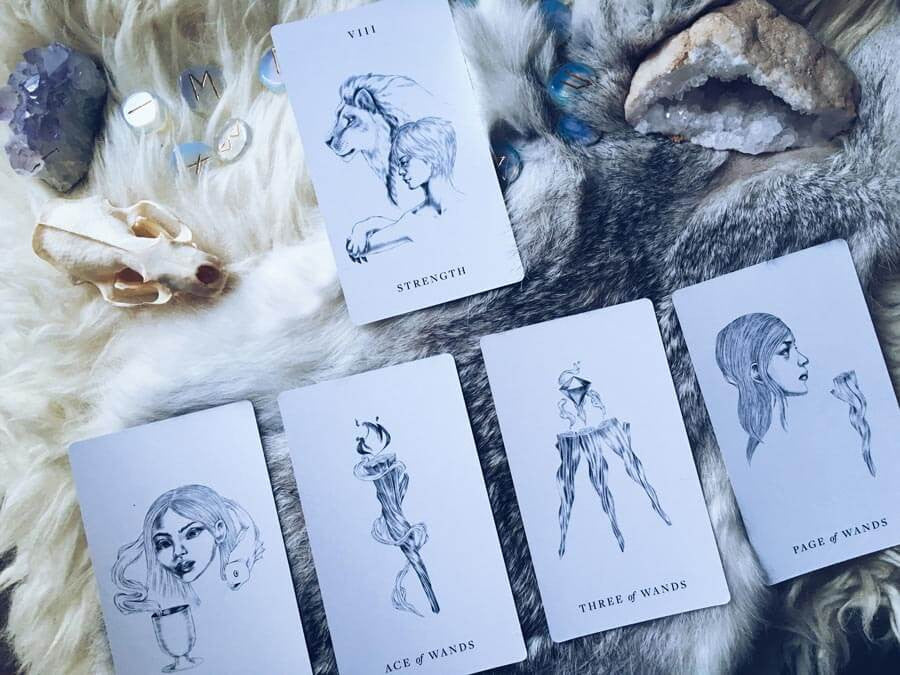 a new moon in leo tarot reading